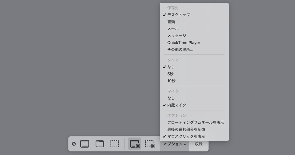 画面収録のオプション